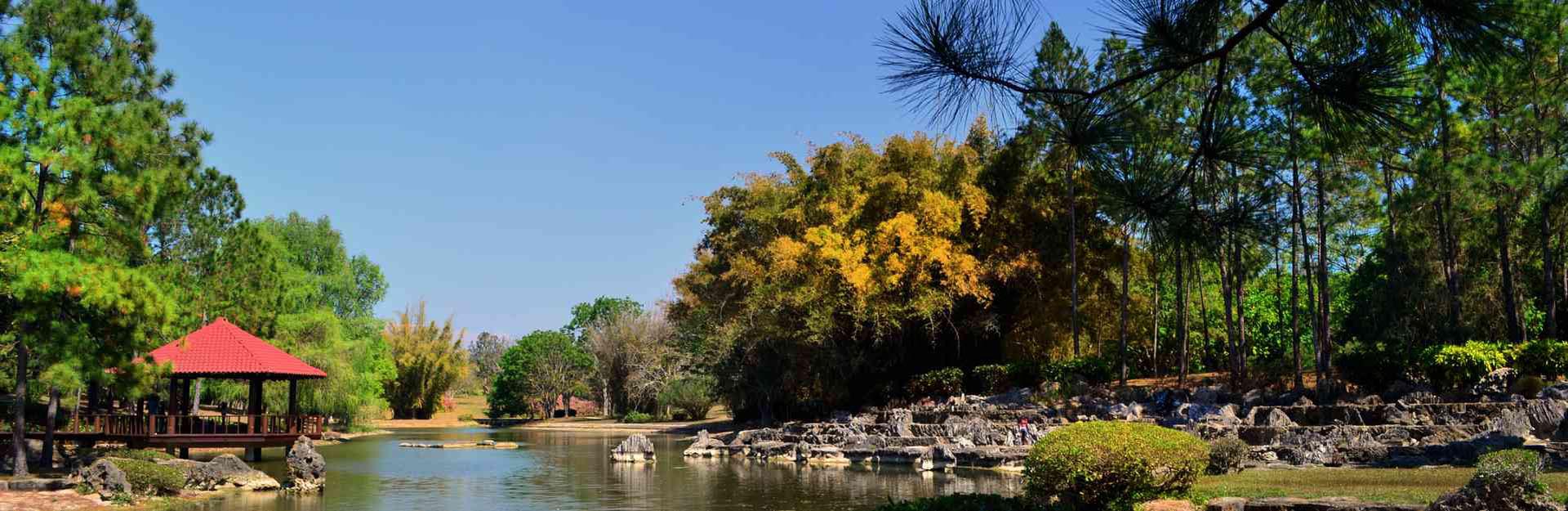 Japanese Garden, in the National Botanical Garden, Cuba Travel